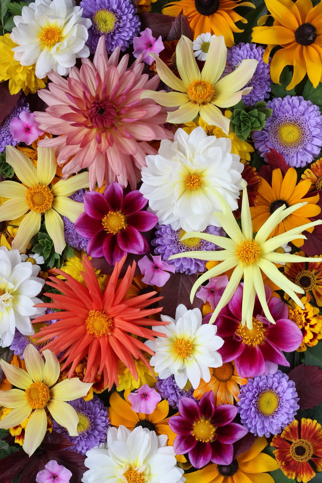 Flores y creatividad en Academia Naima